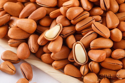 今彩視覺 專業(yè)年貨堅(jiān)果攝影，點(diǎn)亮淘寶食品拍攝新風(fēng)尚