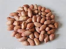 食物營養(yǎng)冠軍榜——干果 小小的能量庫，大大的健康寶