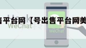 wx号出售平台网【号出售平台网美房老号网】